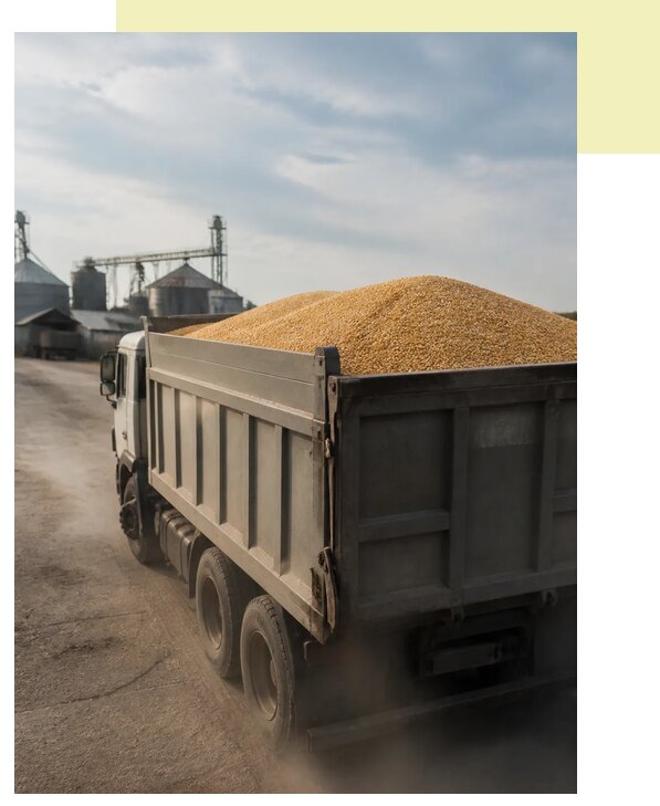 Перевозка сельхозпродукции навалом в Артёма по цене от 3110 р. | Агросервис-Арт