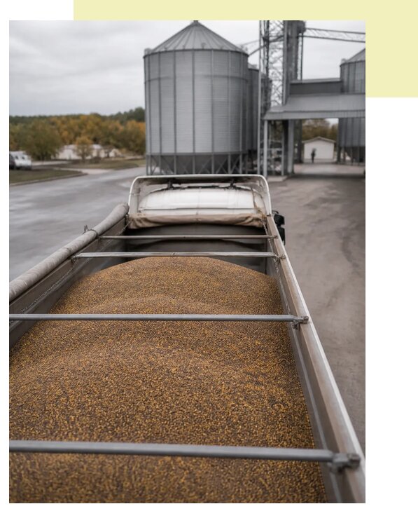 Перевозка рапса в Артёма по цене от 1555 р. | Агросервис-Арт