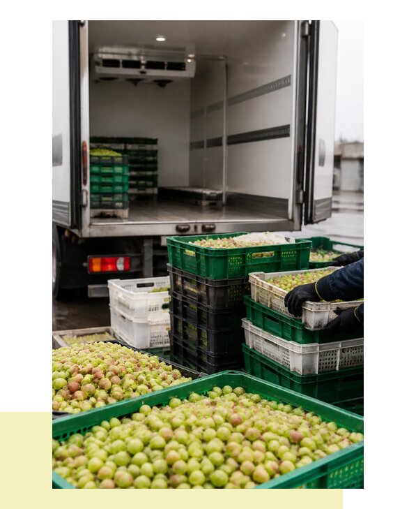 Перевозка крыжовника в Артёма с соблюдением температурного режима